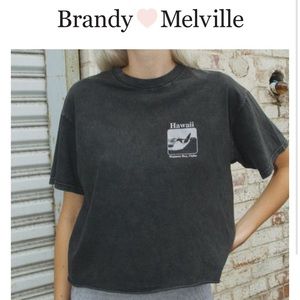 Brandy Melville Aleena Hawaii Top